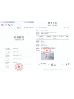 檢驗(yàn)報(bào)告